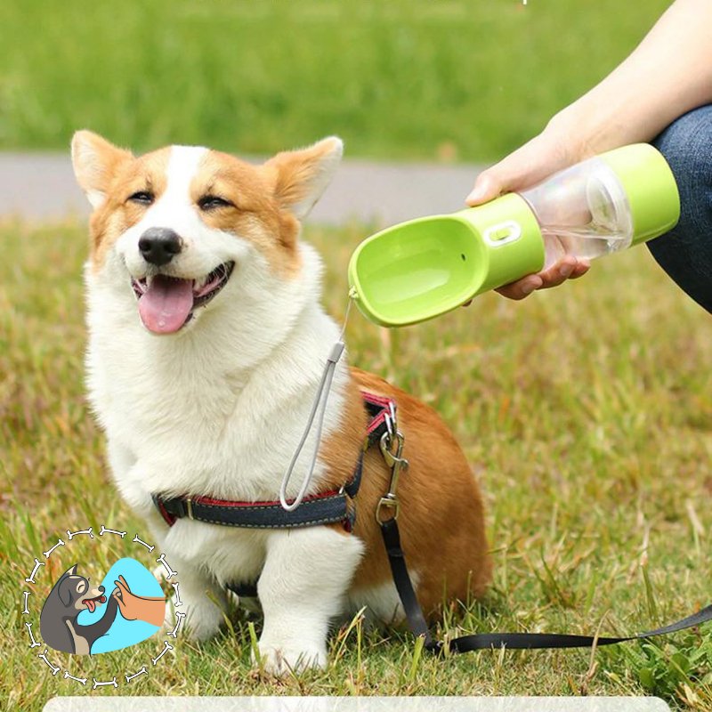 Gourde pour chien Bottle&Bowl - Joyeux Chien